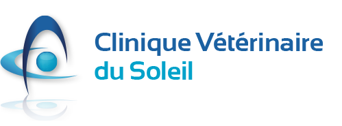 urgences quand la nuit rencontre le jour