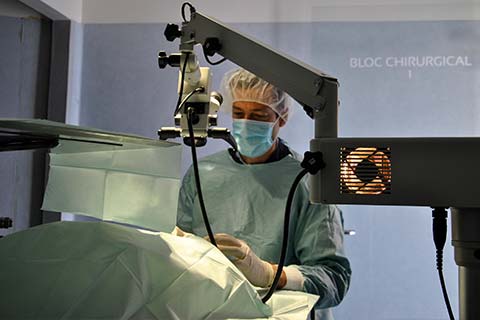 Chirurgie vétérinaire