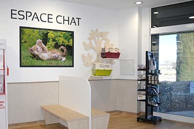 espace chat