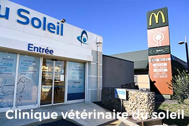 urgences veterinaires